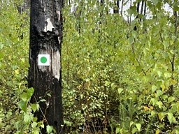 Hiking path marker